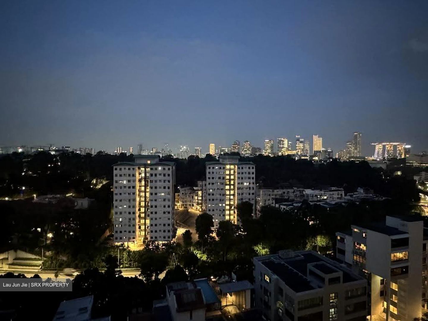 Emerald Hill Road (D9), Condominium #625860781